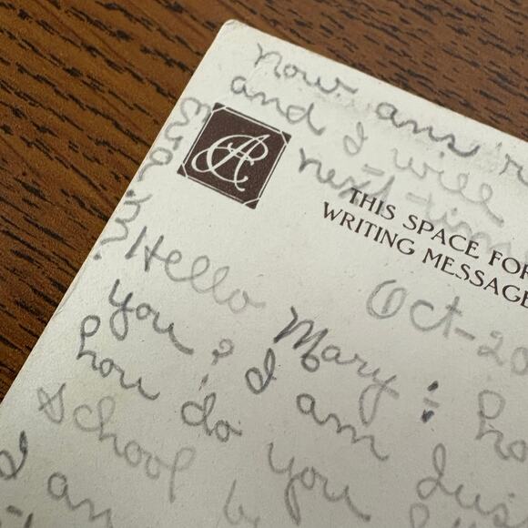 Antique Postcards Women Flowers Nature Lot of 4 Early 1900s Embossed Gilt - Picture 13 of 14